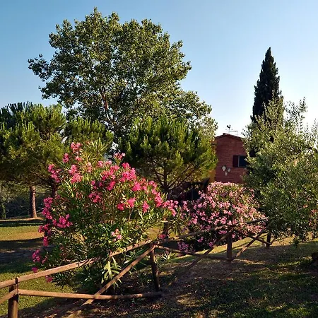 Ferienhaus Palaia 275s Collelungo