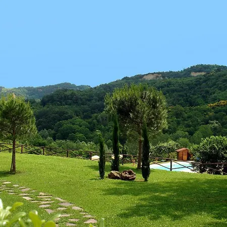 Ferienhaus Palaia 275s *